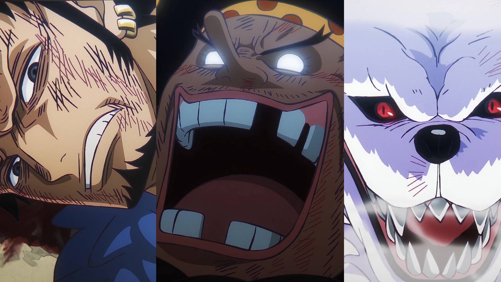 Featured Latest One Piece Episode Finally Reveals The Fate Of Trafalgar Law