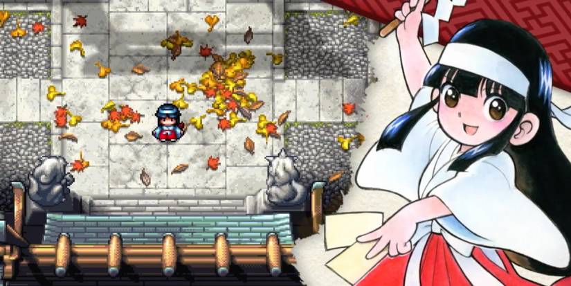 Pocky From Pocky & Rocky Stands In A Feudal Japanese Surrounding