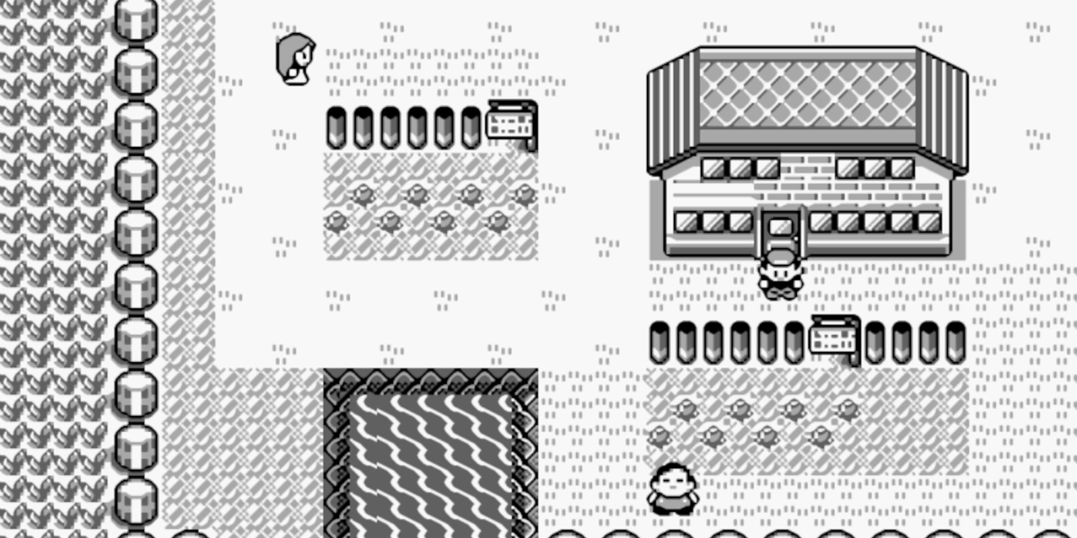 pokemon red blue pallet town