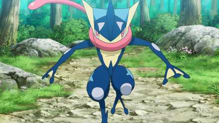 pokemon greninja fighting stance