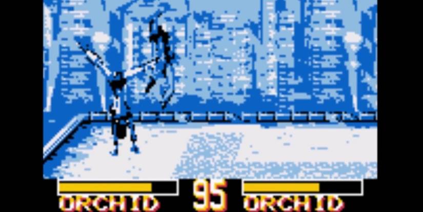 Rarest Game Boy Games- Killer Instinct NFR Demo