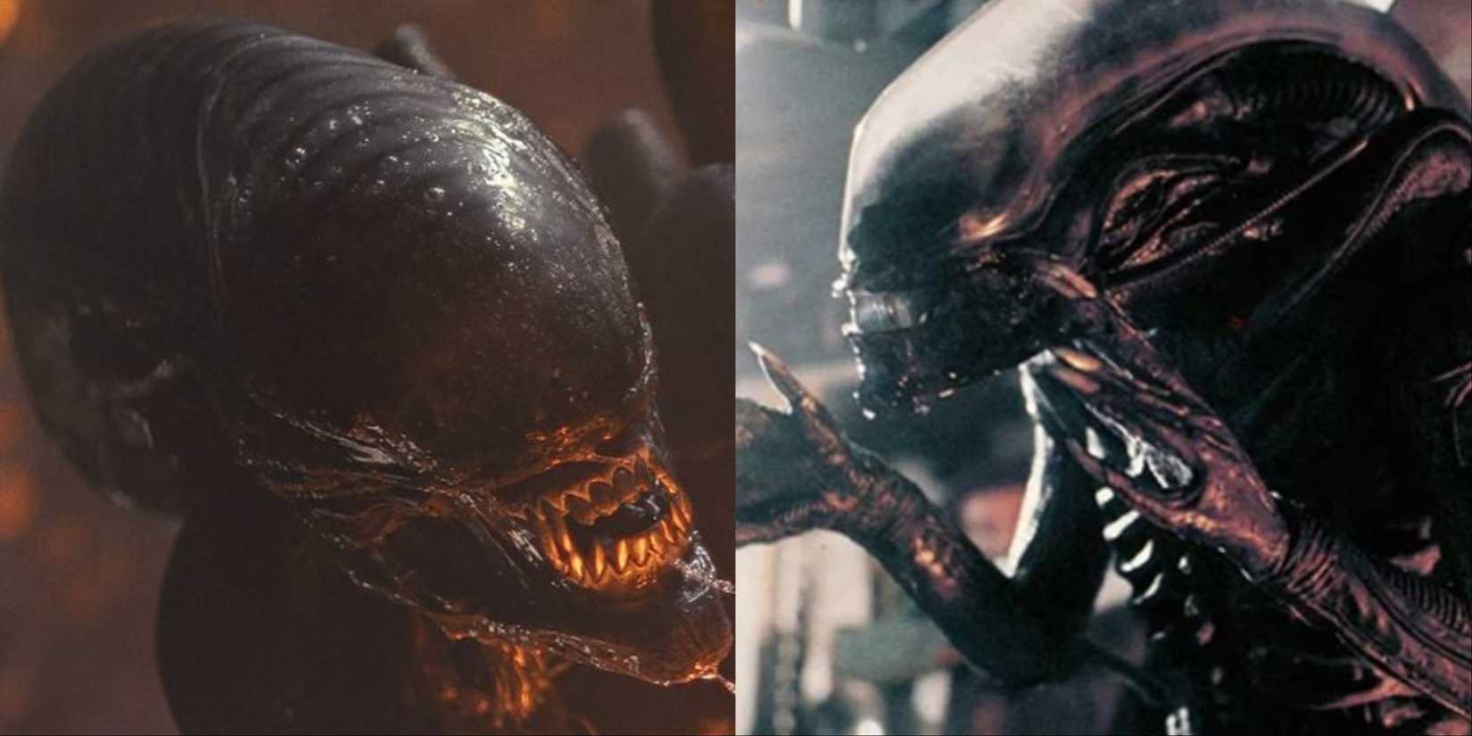 Split image of Xenomorphs in Alien: Romulus and Alien