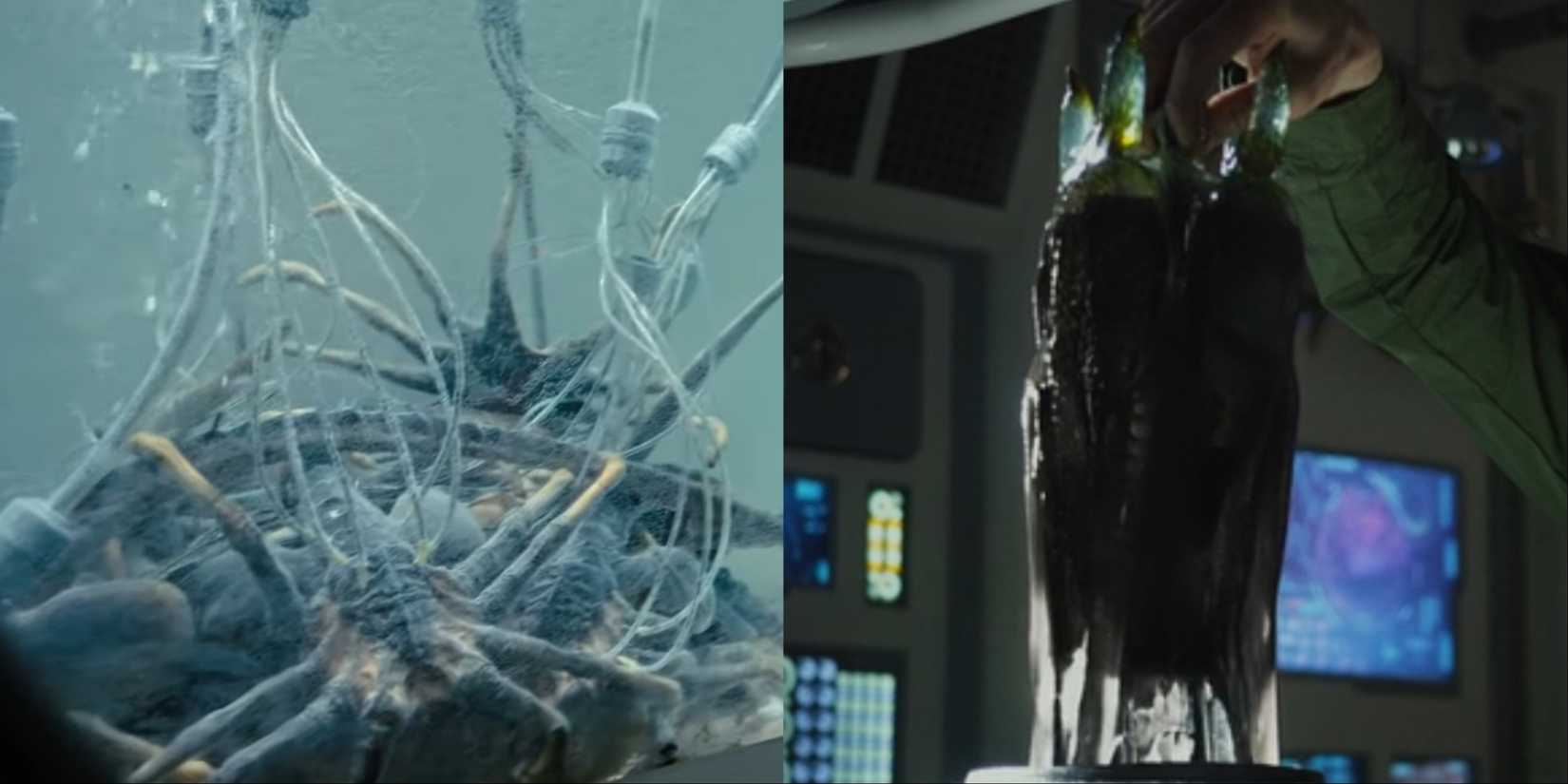 Split image of experiments with the Pathogen in Alien: Romulus and Prometheus