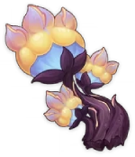 Saurian Claw Succulent