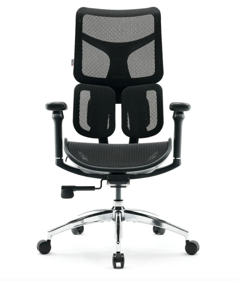 Sihoo Doro S100 Ergonomic Chair