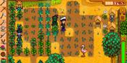 Stardew Fair Strength Game R StardewValley