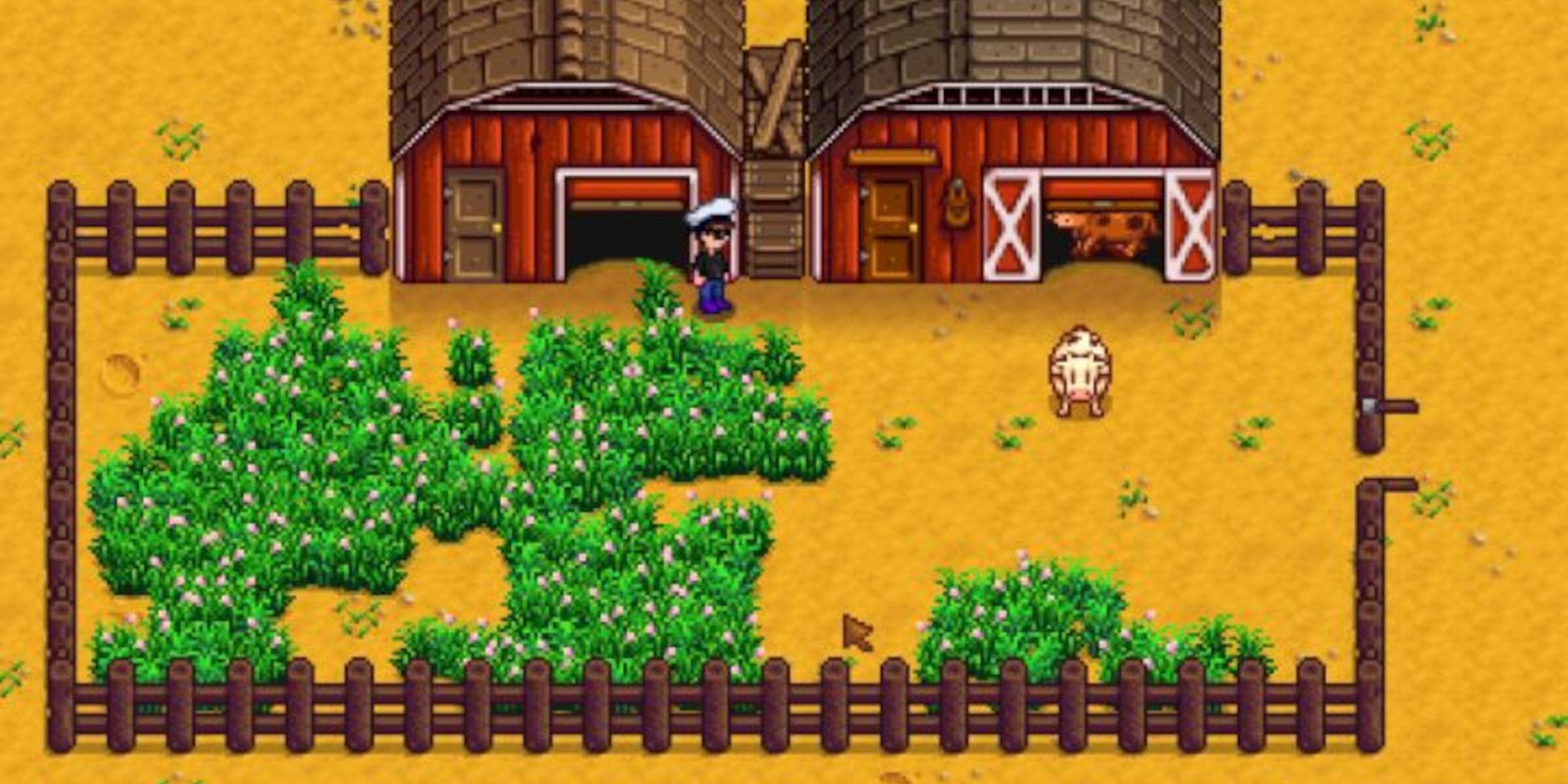 Игрок Stardew Valley рассказал о досадной ошибке в заборе