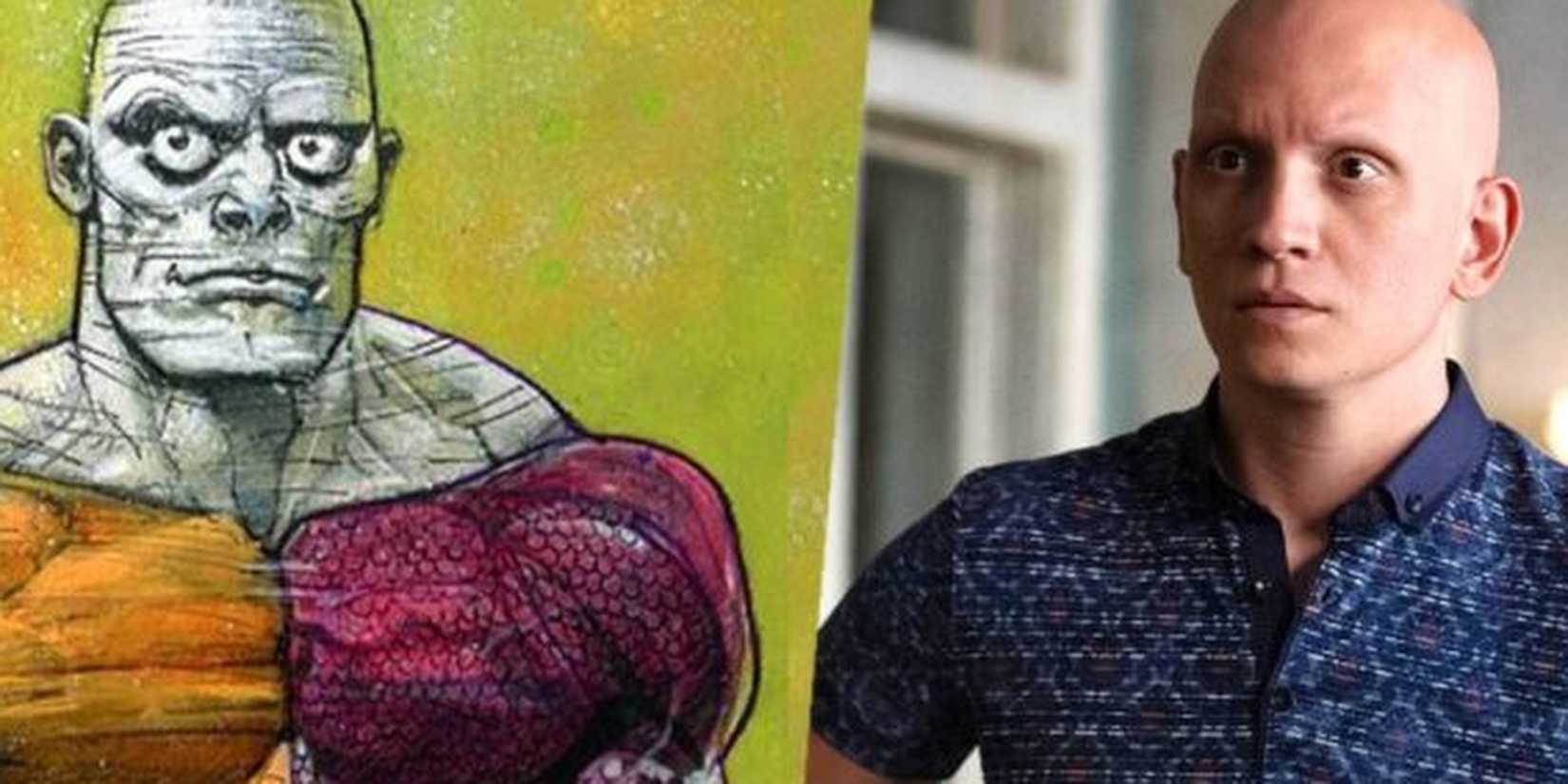 Anthony Carrigan next to a picture of Metamorpho