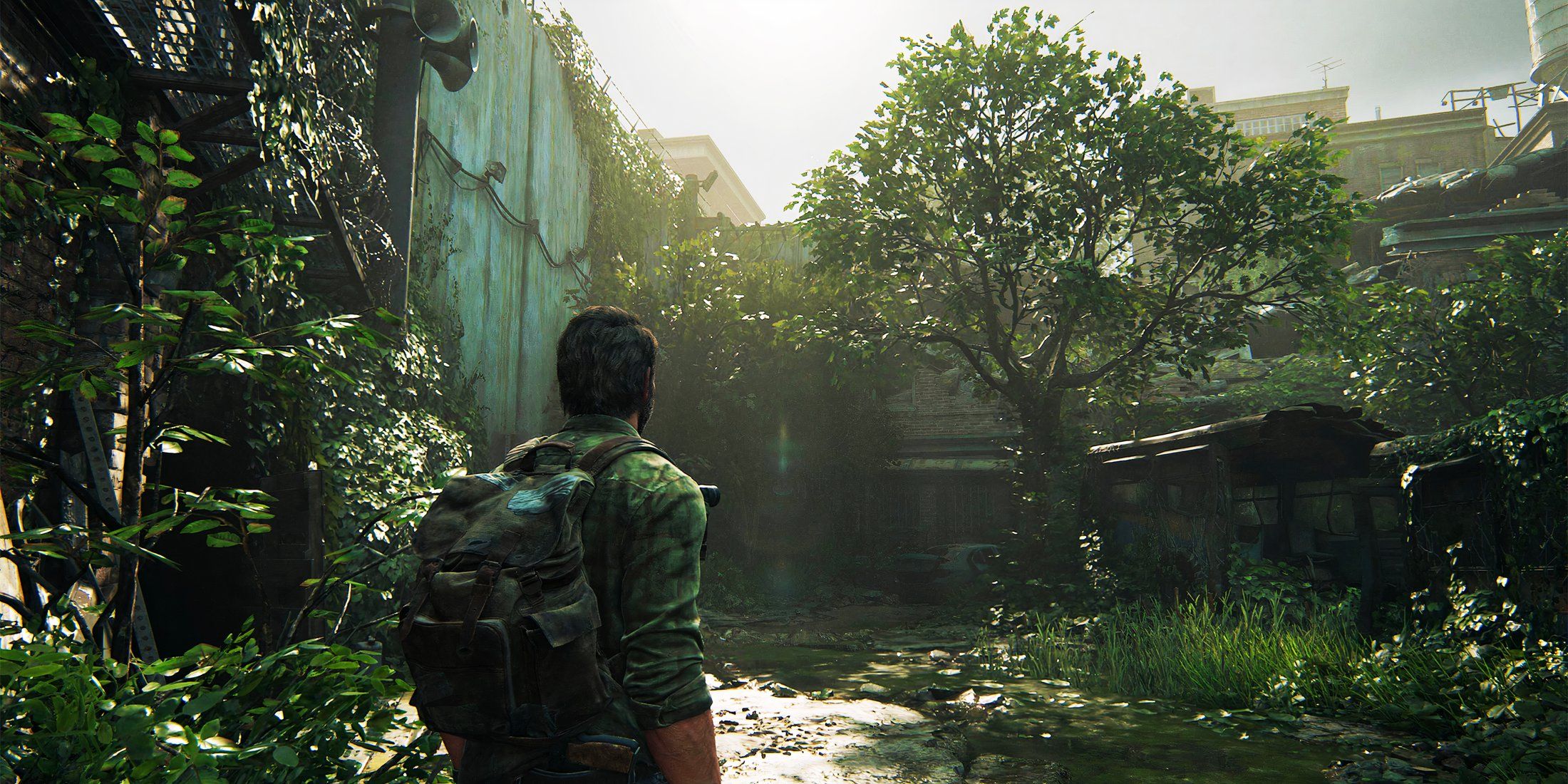 Cinematographer Shares Stunning Photos of The Last of Us Part 1