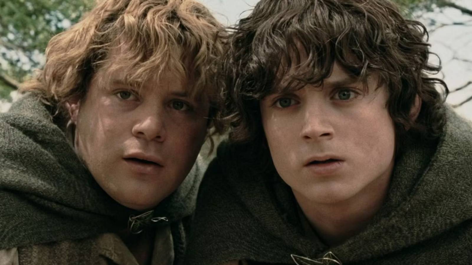 the-lord-of-the-rings-frodo-and-sam