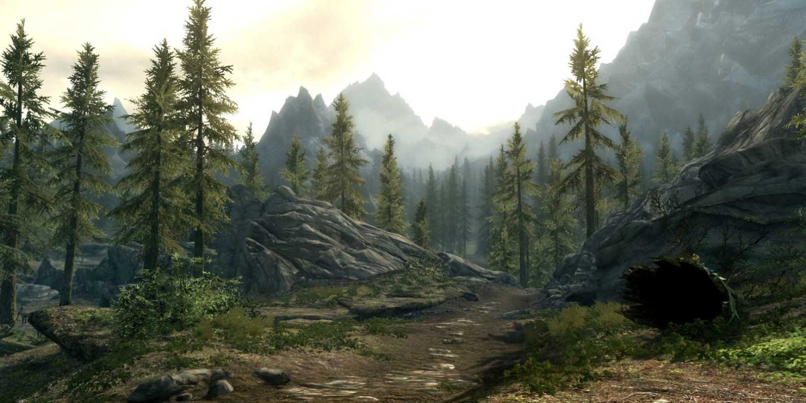 The Sun Coming Through A Forested Region Of Skyrim Within Tamriel-1