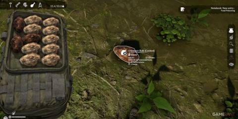 Unknown Bulb providing carbohydrates in the harsh environment in Green Hell