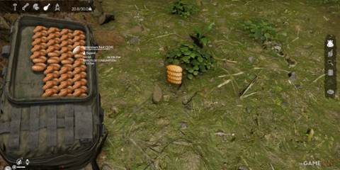 Unknown Nuts high in fats, stored for energy and survival in the jungle in Green Hell