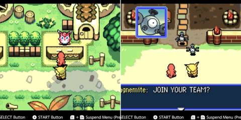 The Player Talking To Wigglytuff & Magnemite Asking To Join The Team