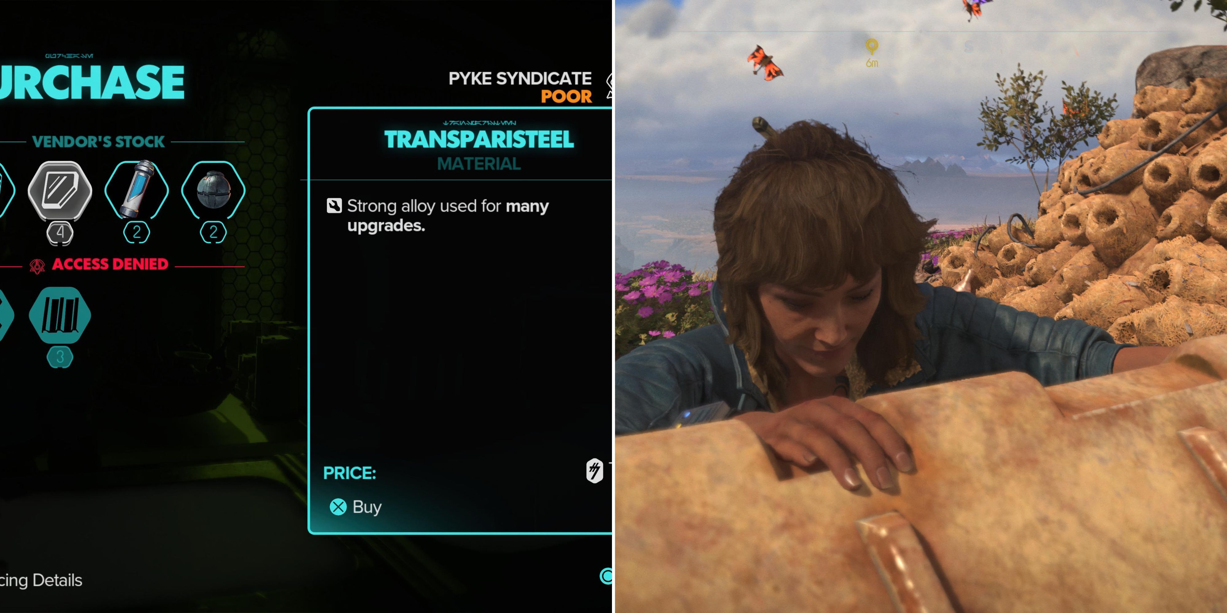 Transparisteel In The Merchant & Kay Opening A Chest 