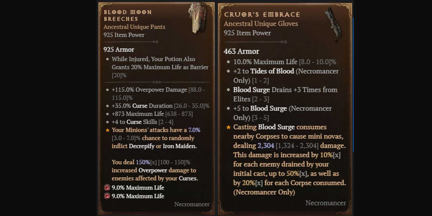 two of the items that make the Blood Surge Necromancer Build Work