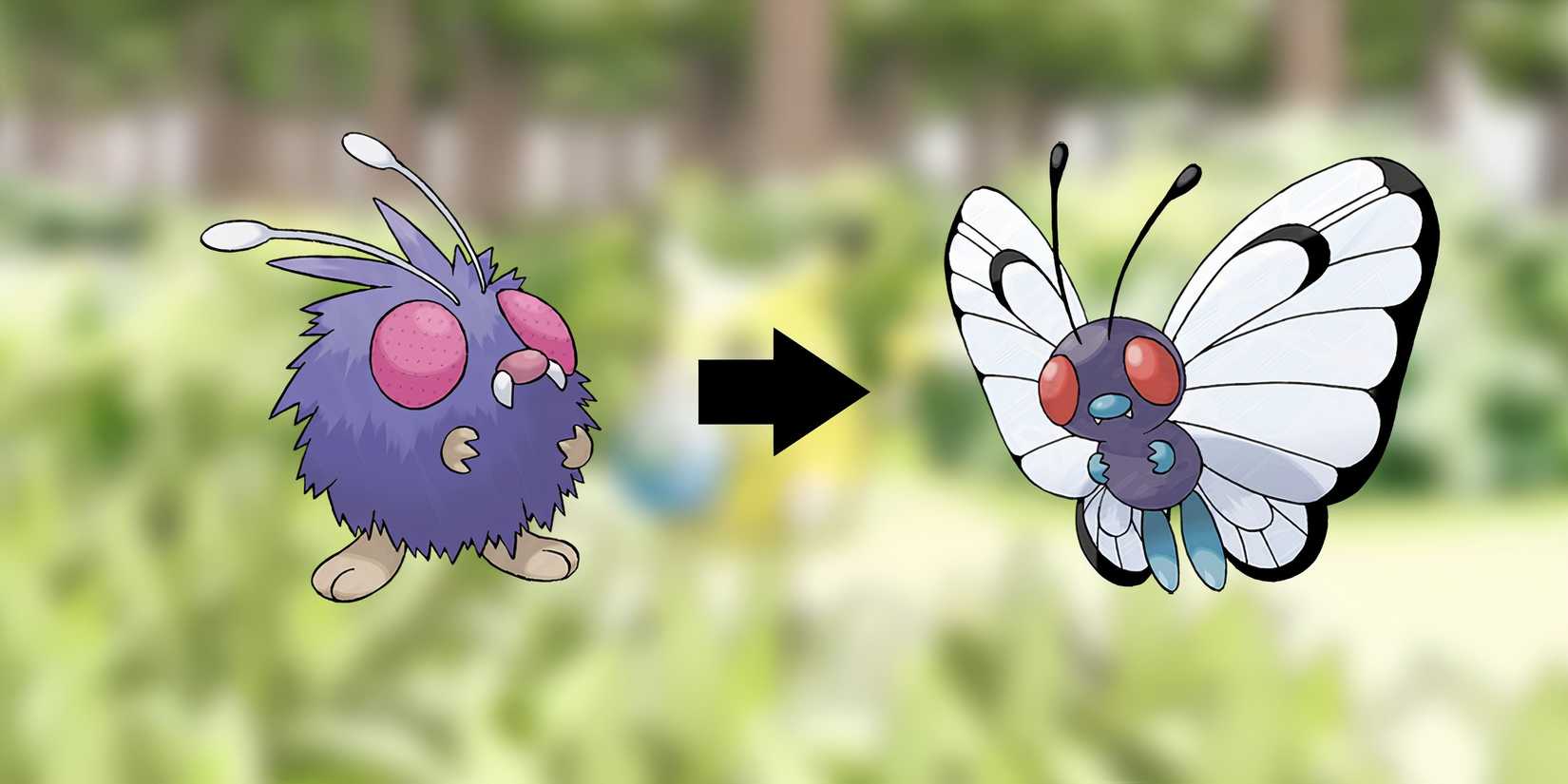 Venonat Butterfree Evolution In Pokemon