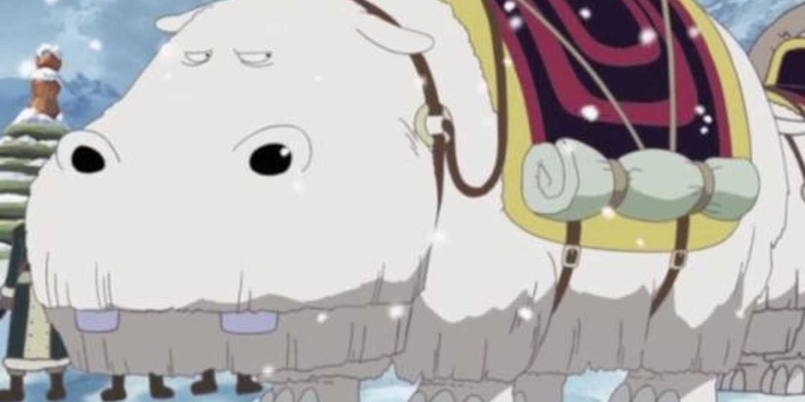 Wapol's pet White Walkie, Robson, in the anime.