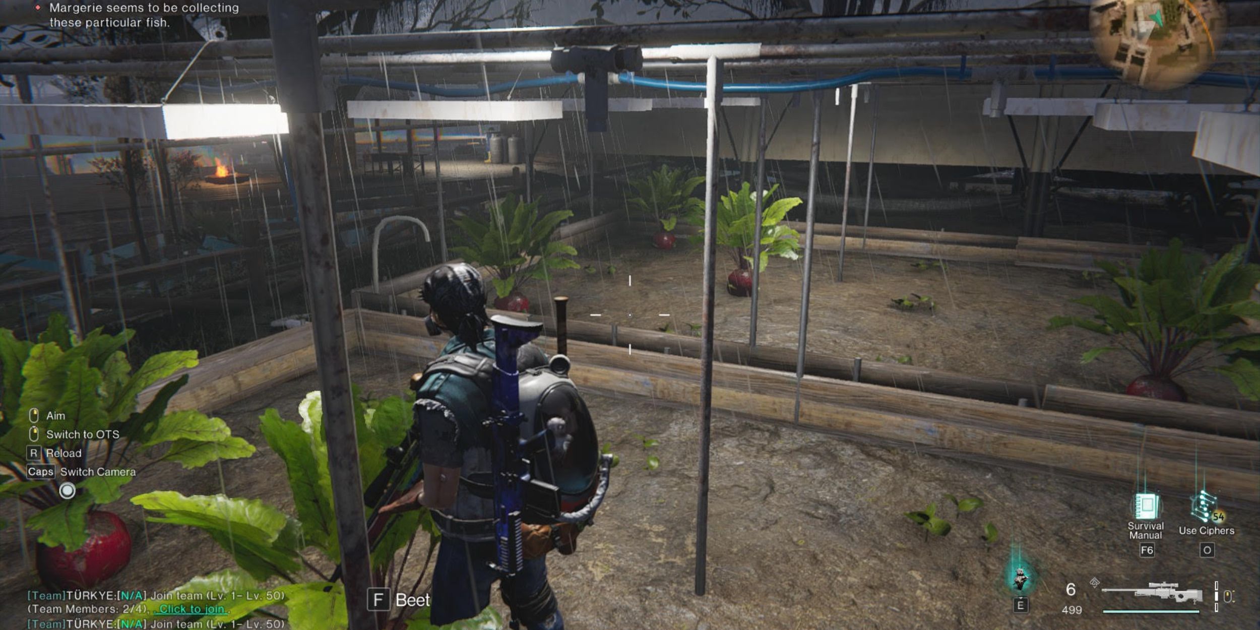 Beets, Potato and Cabbage Locations in Once Human