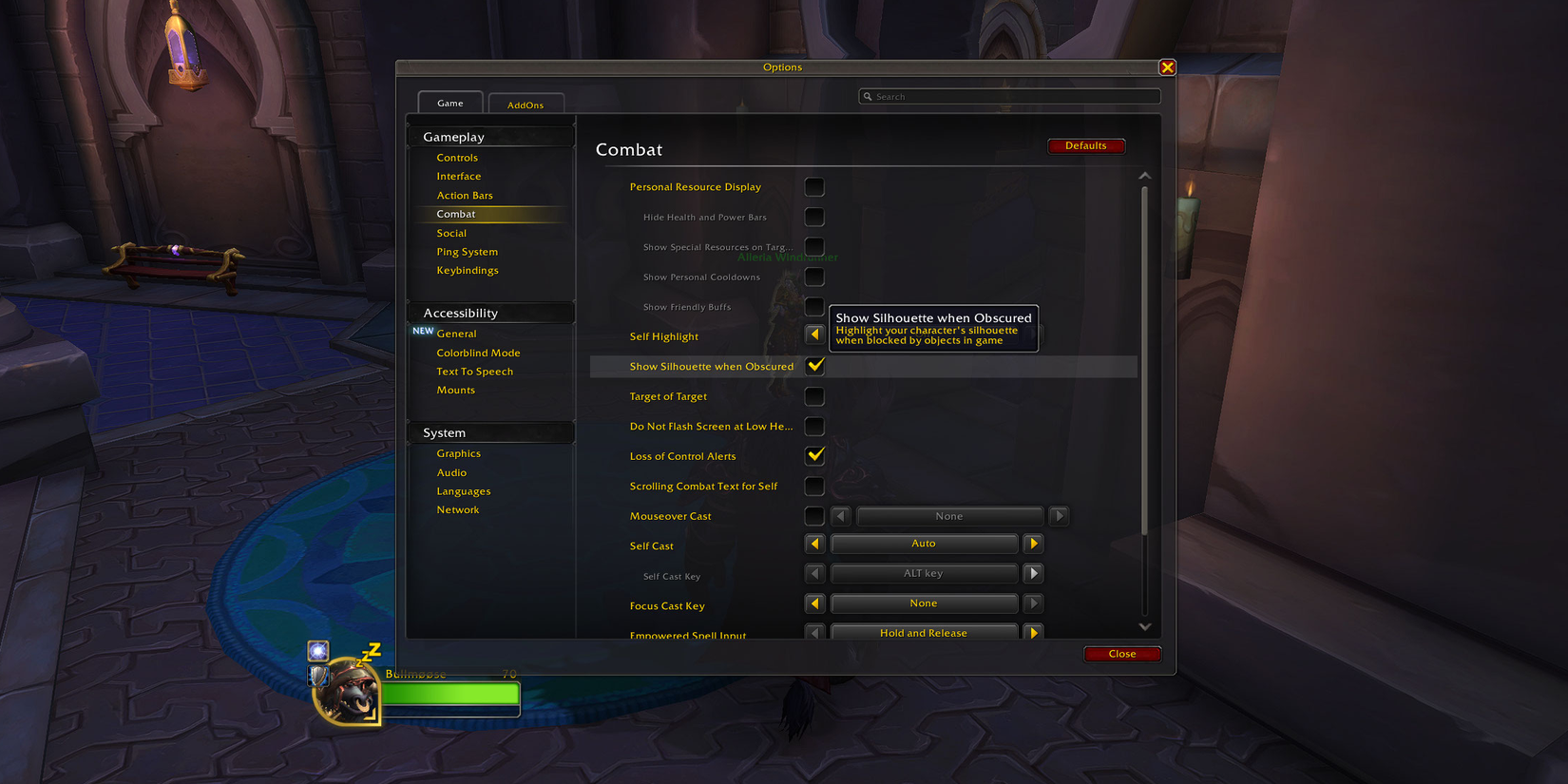 WoW The War Within Silhouette Setting New Camera Option TWW