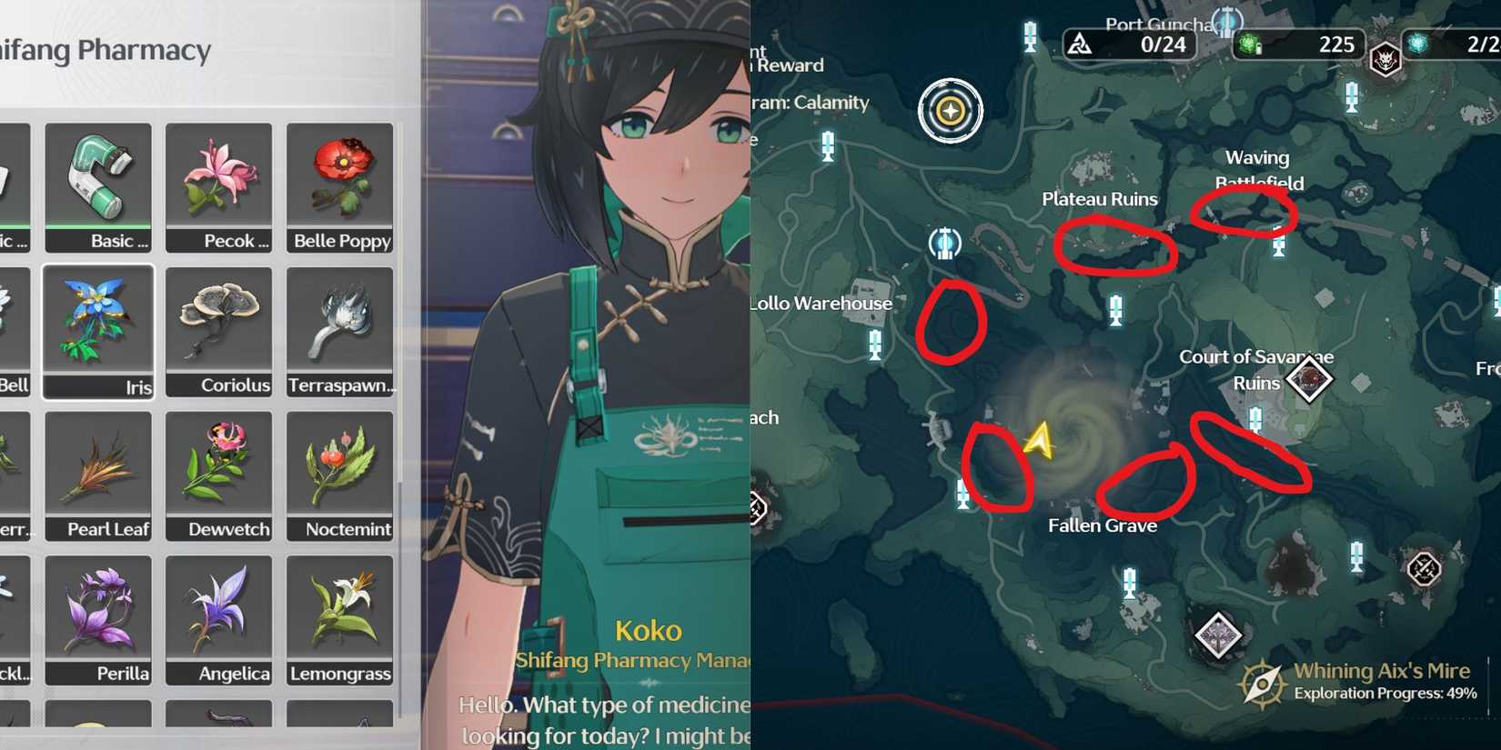 Iris locations in Wuthering Waves