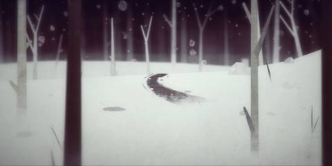 A trail in the snowy woods leading towards the horizon