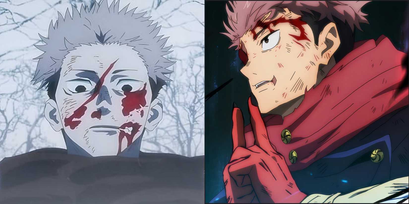  Yuji Domain Expansion Work jujutsu Kaisen JJK