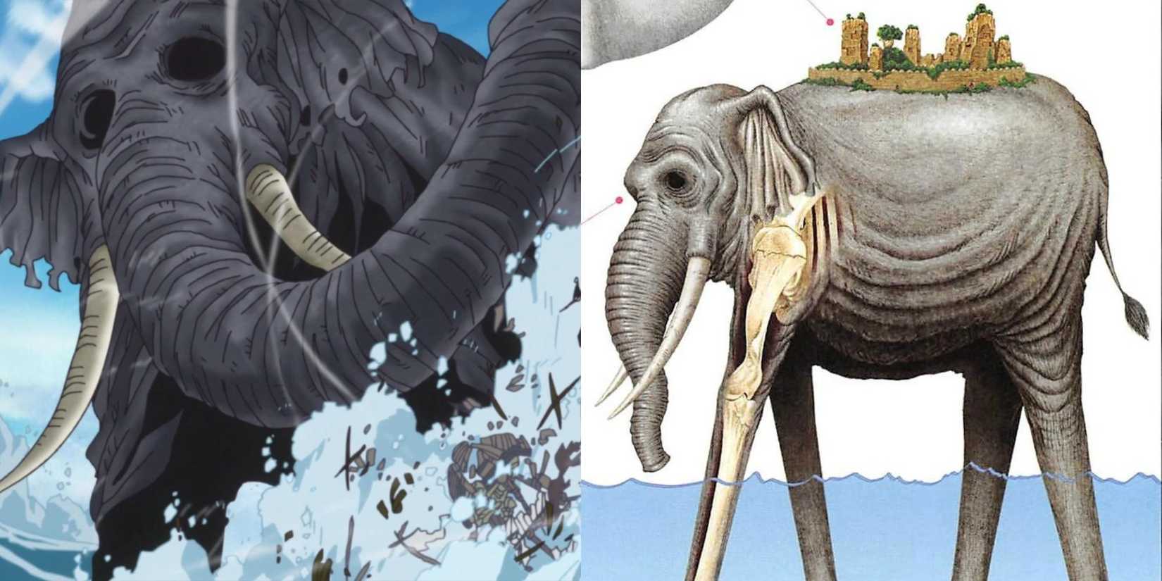 Strangest Animal Species In One Piece strangest-animal-species-in-one-piece