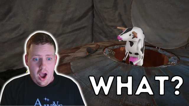 10 Weird Things Found in Video Games