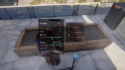 An orange plant's irrigation requirements in Once Human