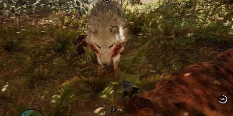 An image of the Snowblood Wolf from Far Cry Primal