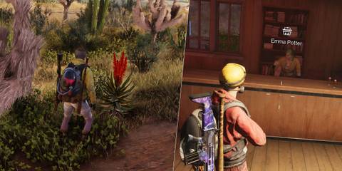 All Rare Plants In Once Human and How to Find Them