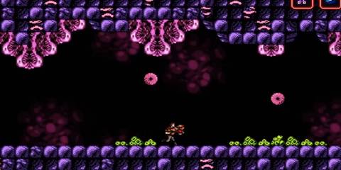 trace walking through an environment