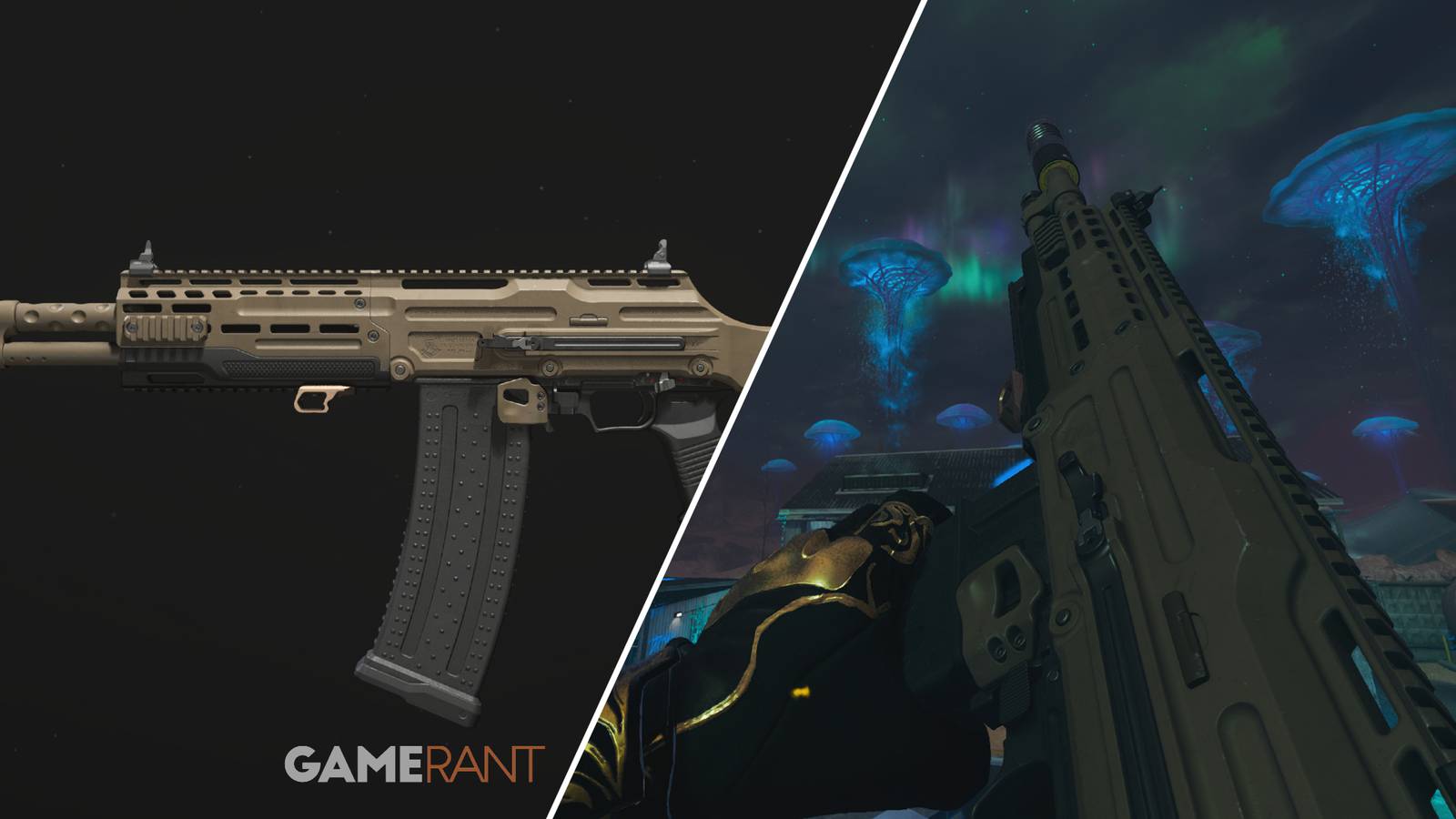 Split-image showcasing the DTIR 30-06in Modern Warfare 3 and Warzone