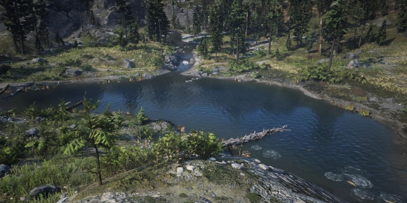 Best Areas For Hunting In Red Dead Online