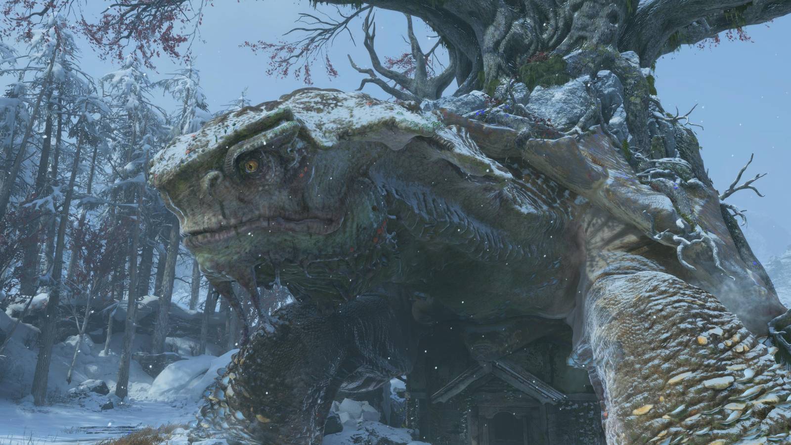 Grove Ragnarok God Of War Ragnarok: How To Get To Sanctuary Grove