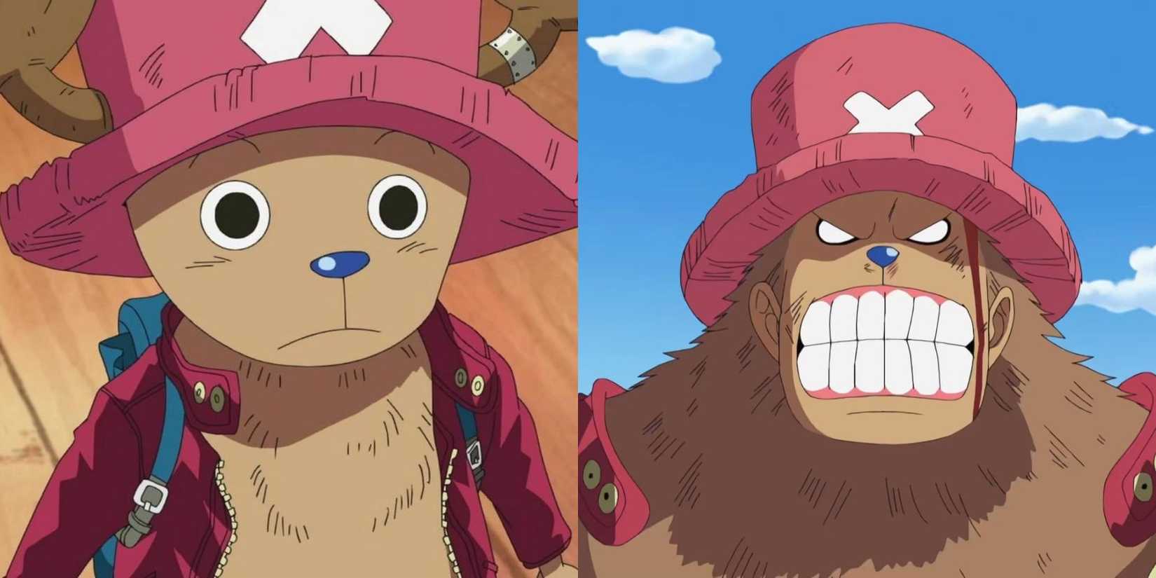 Chopper in Enies Lobby, both in his Brain Point and his Strong Point forms in One Piece