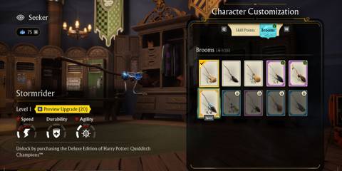 Harry Potter: Quidditch Champions Deluxe Edition Broom Skin