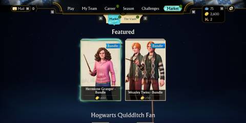 Harry Potter: Quidditch Champions Market and Character Bundles