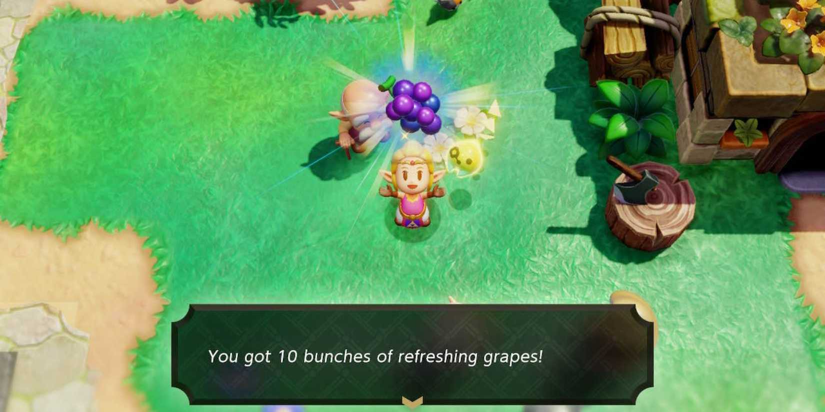 echoes of wisdom quesioning the local cats side quest reward