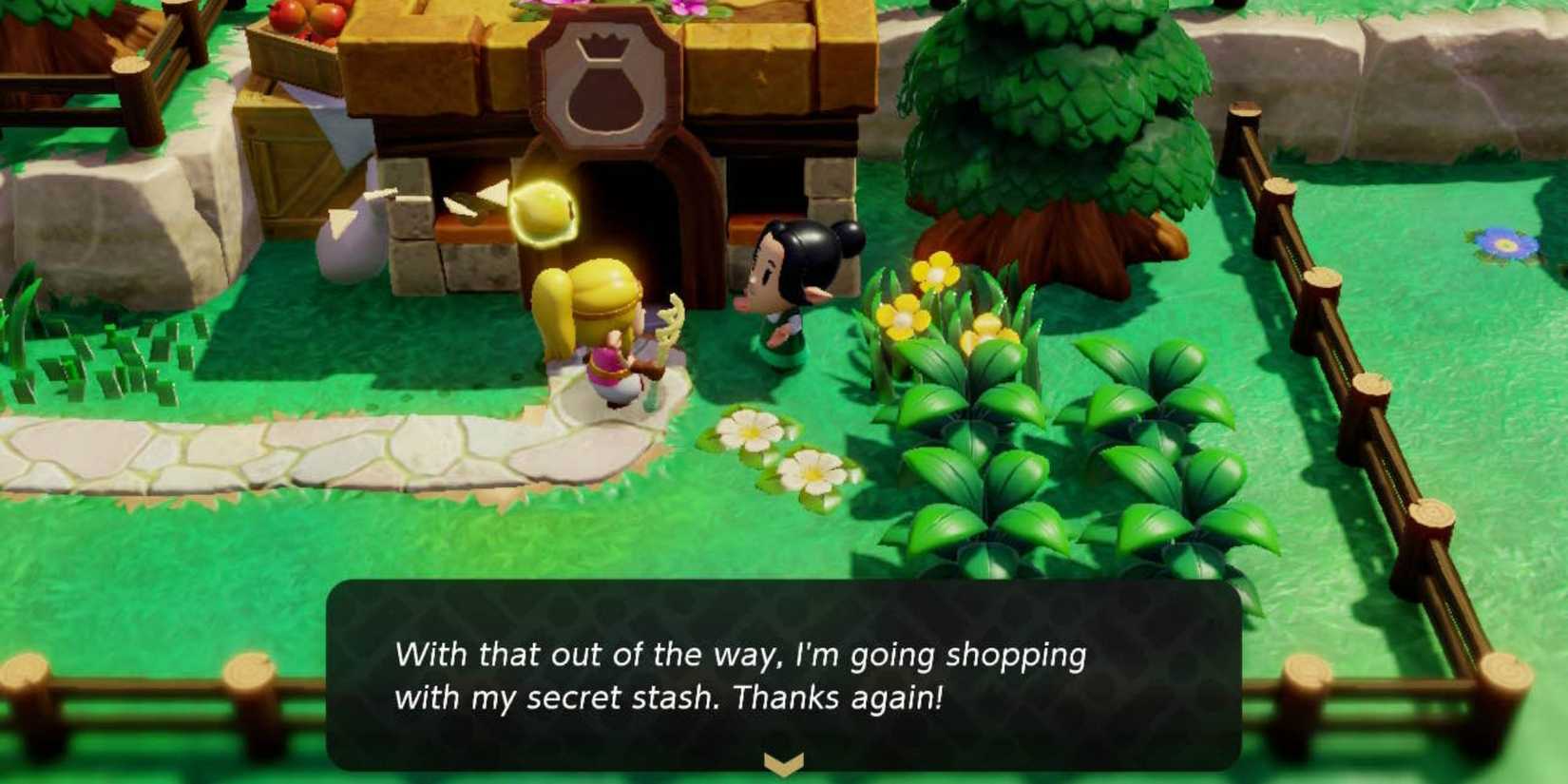 echoes of wisdom zelda cat clothes