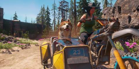 Timber the Shiba Inu from Far Cry New Dawn