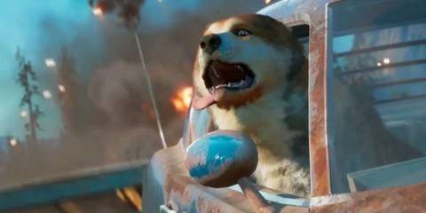 Timber the Shiba Inu from Far Cry New Dawn