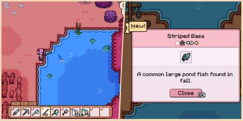 fields of mistria how to get striped bass feature image