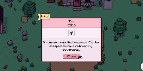 fields of mistria tea