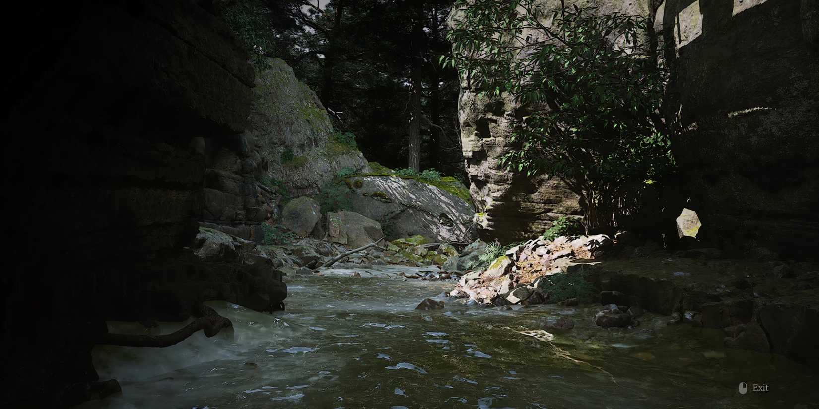 Downgraded visuals wukong mod