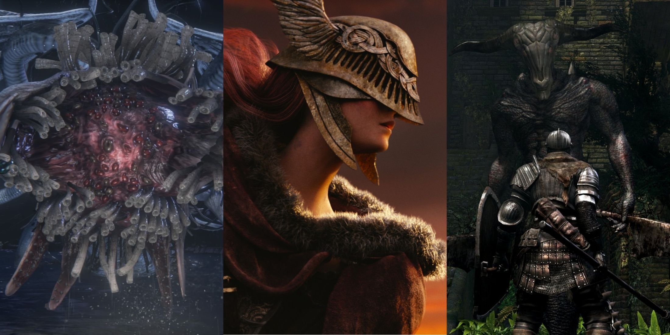 FromSoftware Games With The Most Optional Bosses, Ranked