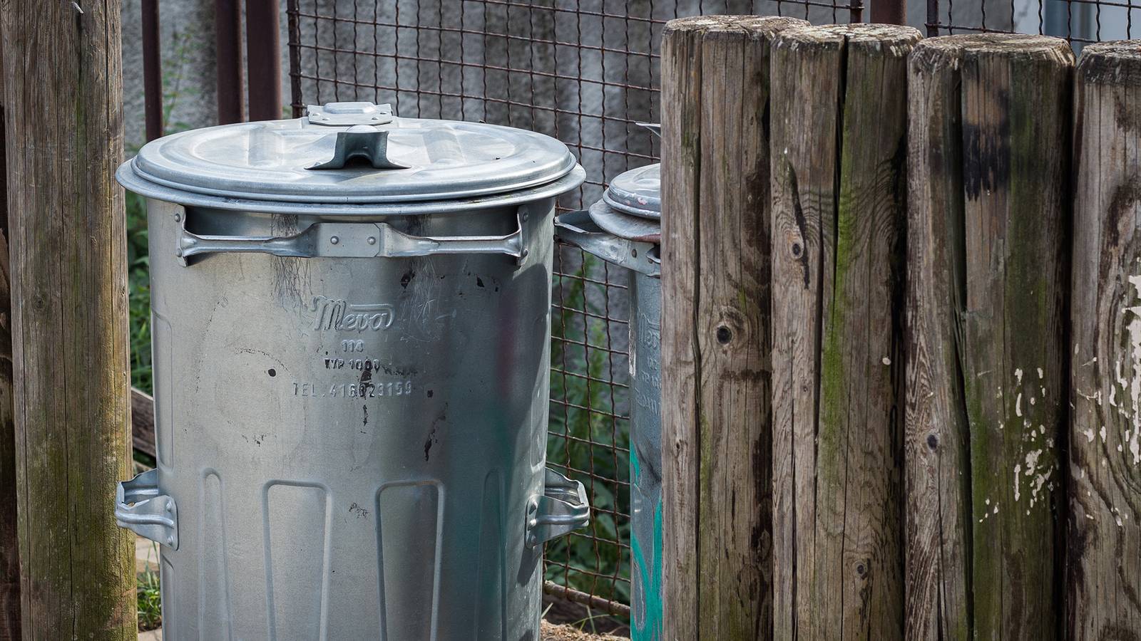 Reddit User Saves Gaming Collection