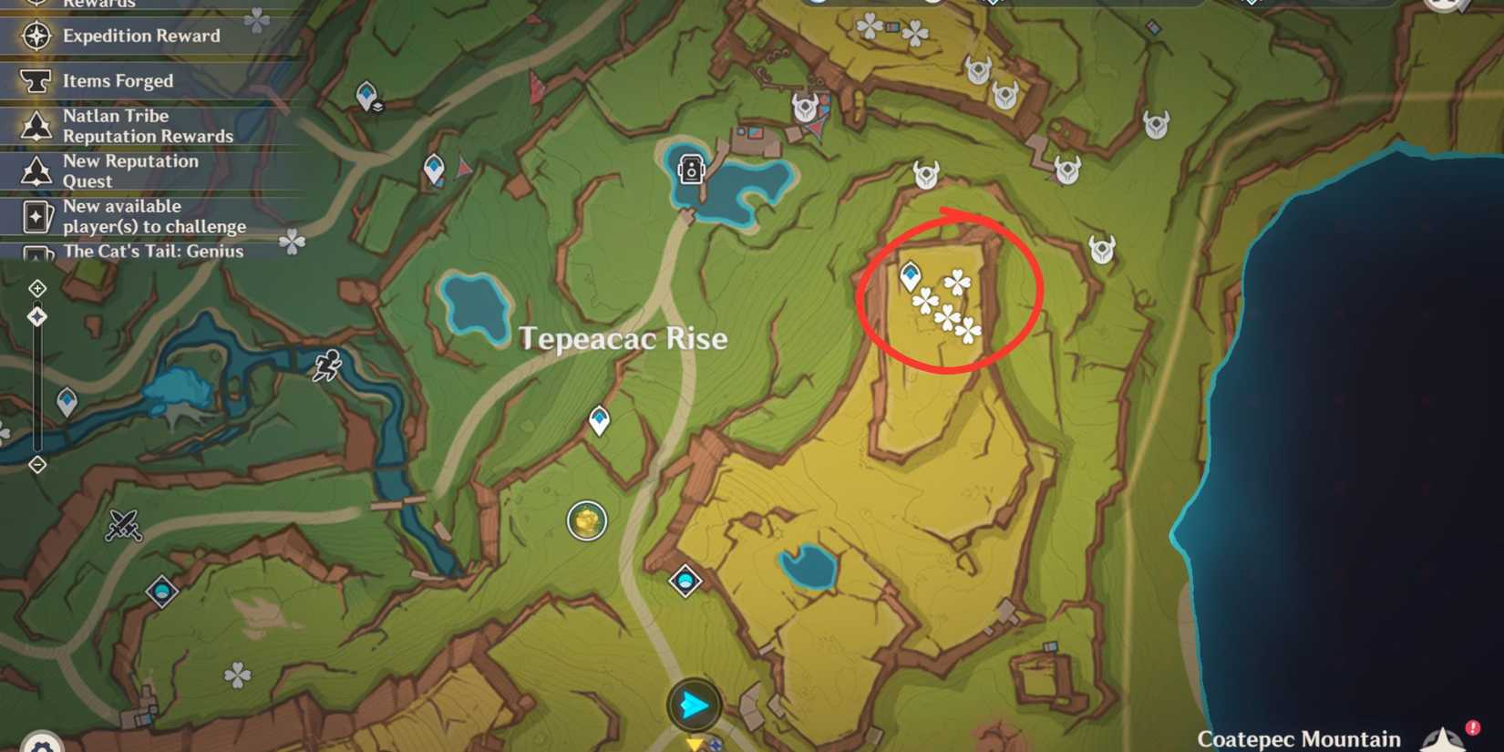 genshin impact-tepeacac rise