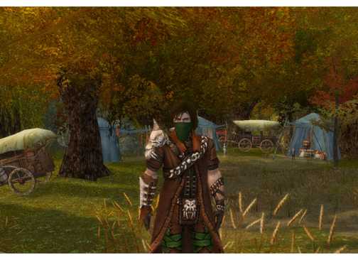 Guild Wars Ranger Ritualist Builds Guild Wars: Best Secondary Profession Combinations